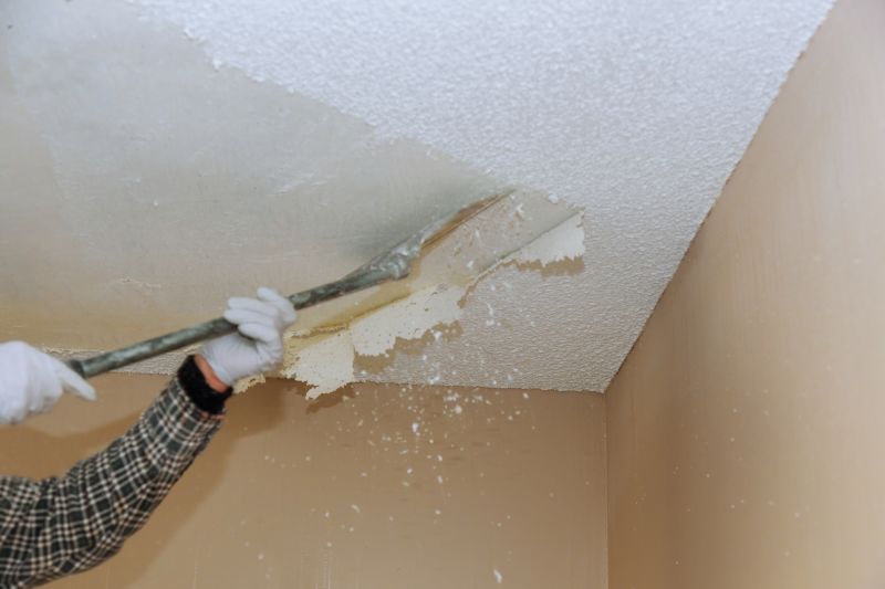 Ceiling Texture Removal